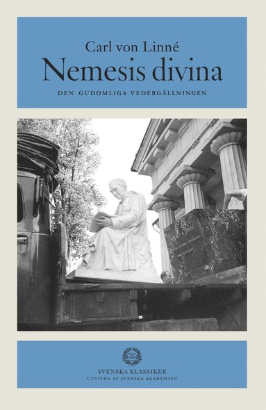 bokomslag Nemesis divina : den gudomliga vedergällningen