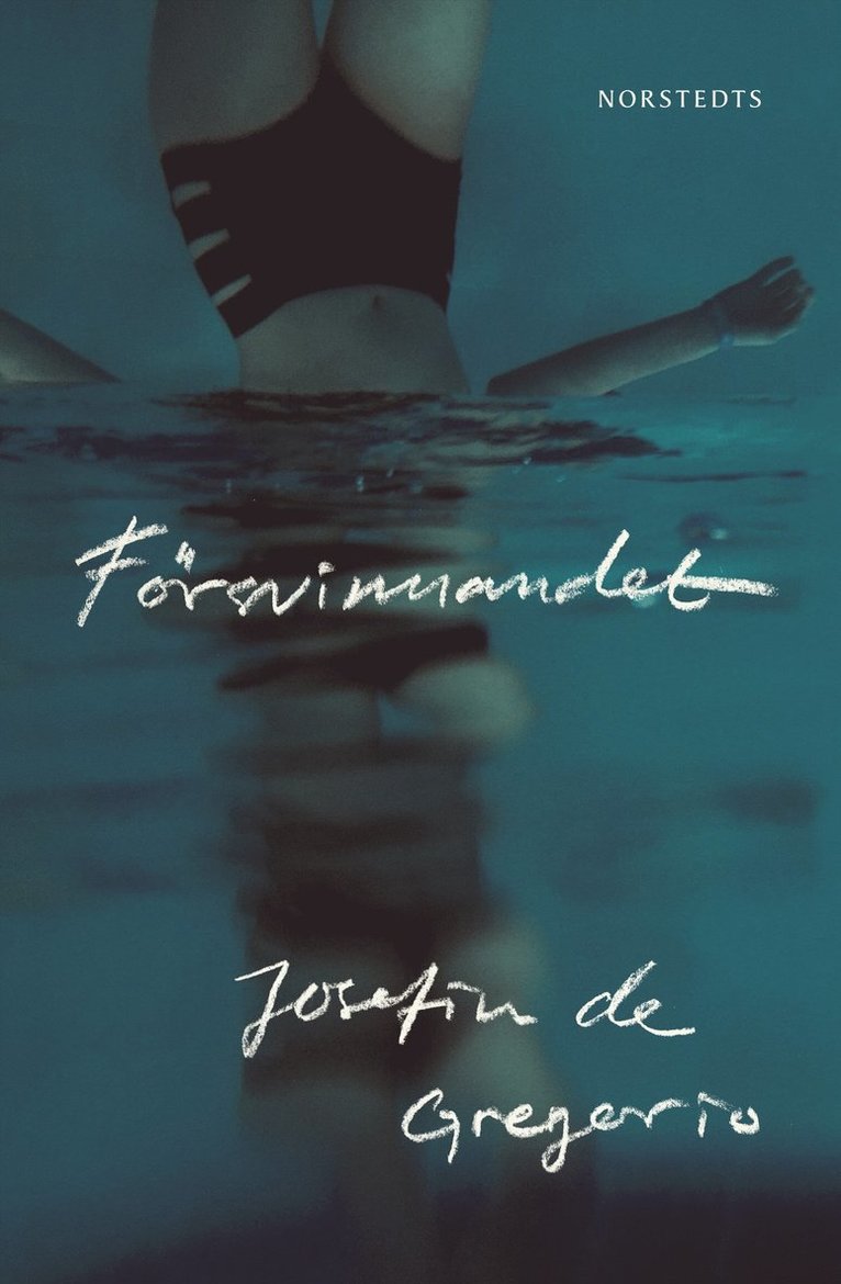 Josefin de Gregorio - Försvinnandet, Inbunden