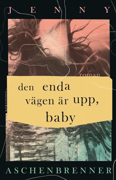 bokomslag Den enda vägen är upp, baby