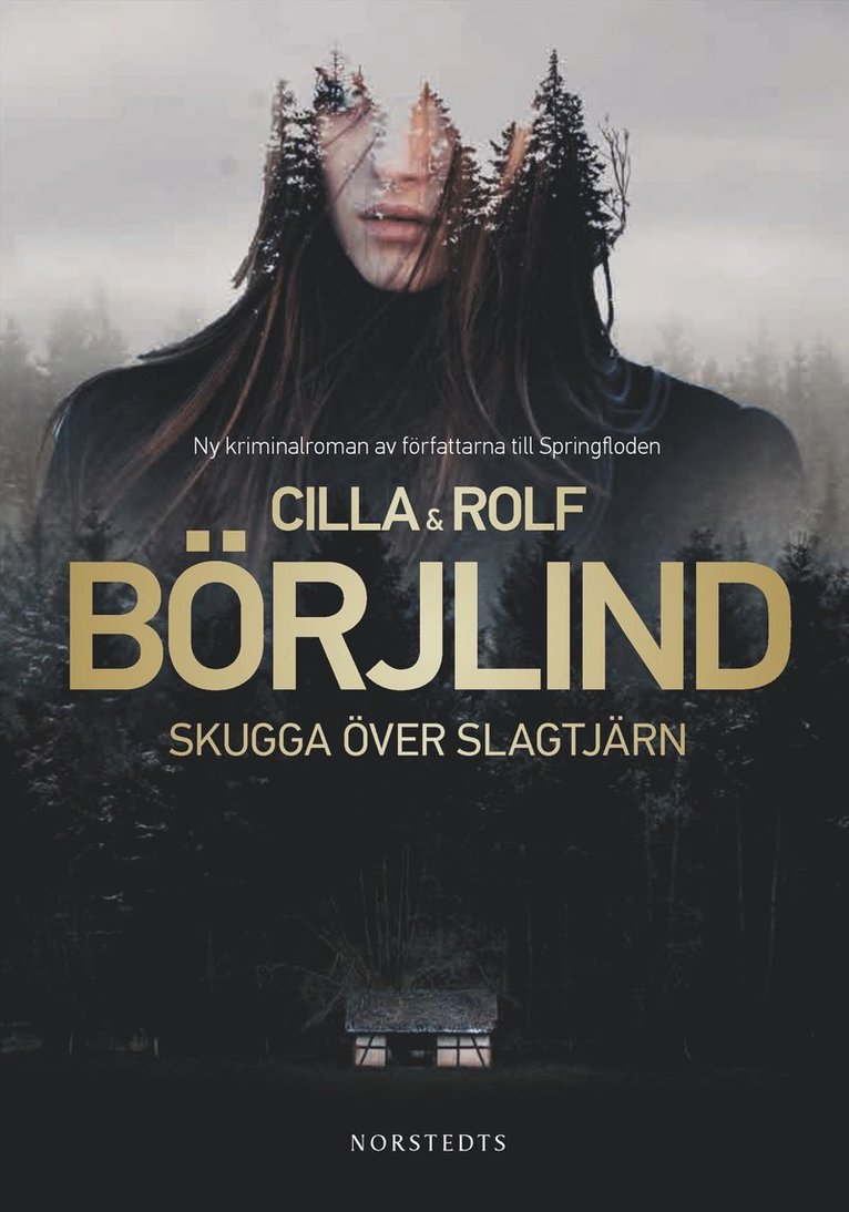 Skugga över Slagtjärn