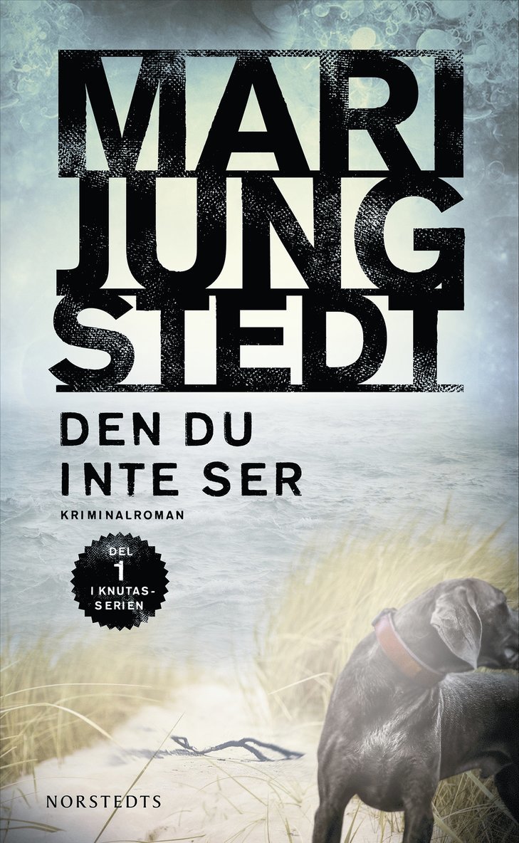 Mari Jungstedt - Den du inte ser, Häftad
