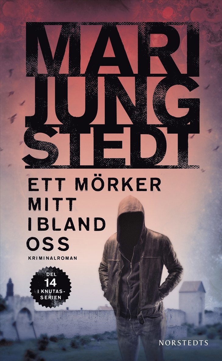 Mari Jungstedt - Ett mörker mitt ibland oss, Häftad