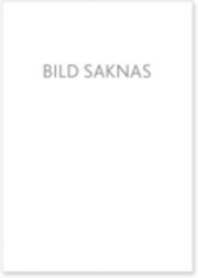 Matte Mosaik 2 Facit 2B