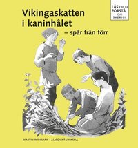 bokomslag Läs och förstå Vikingaskatten i kaninhålet