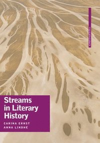 bokomslag Streams in Literary History