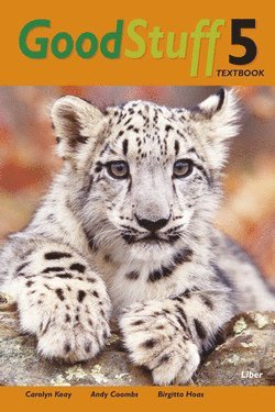 Good Stuff 5 Textbook