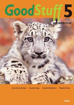 Good Stuff 5 Workbook