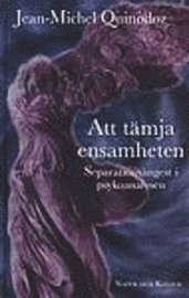 Jean-Michel Quinodoz - Att tämja ensamheten : Separationsångest i psykoanalysen, Kartonnage