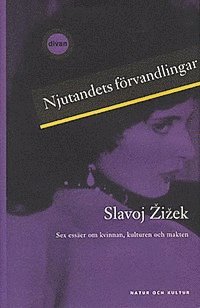 Slavoj Zizek - Njutandets förvandlingar, Inbunden