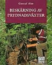 Beskärning av prydnadsväxter
