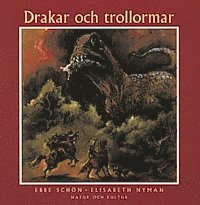 bokomslag Drakar och trollormar