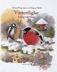 Vinterfåglar kring vårt hus