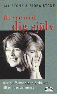 Bli vän med dig själv : Hur du förvandlar självkritik till en kreativ resurs