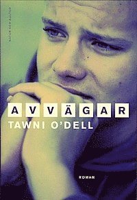 Avvägar
