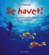 Se havet : Blött och blandat från vågsvall till avgrundsdjup