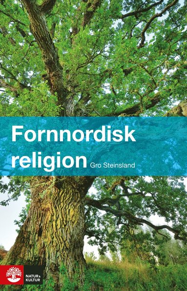 bokomslag Fornnordisk religion