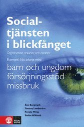 Socialtjänsten i blickfånget : organisation, resurser och insatser 1