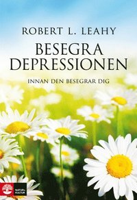 bokomslag Besegra depressionen