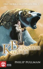 bokomslag Bärnstenskikaren