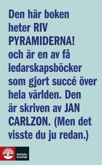 bokomslag Riv pyramiderna! : en bok om den nya människan, chefen och ledaren