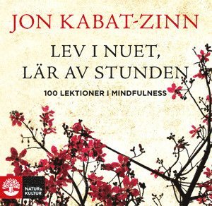 Jon Kabat-Zinn - Lev i nuet, lär av stunden : 100 lektioner i mindfulness, Häftad