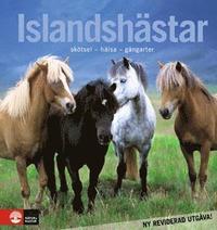 bokomslag Islandshästar : skötsel - hälsa - gångarter