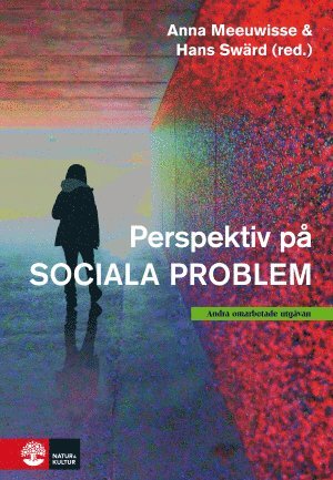 bokomslag Perspektiv på sociala problem