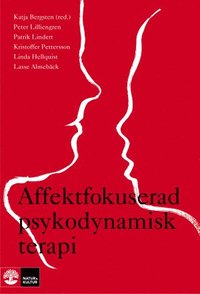 bokomslag Affektfokuserad psykodynamisk terapi : teori, empiri och praktik