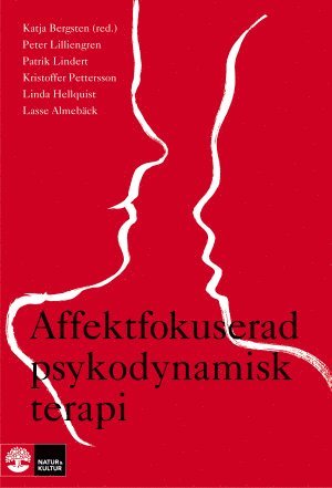 bokomslag Affektfokuserad psykodynamisk terapi : teori, empiri och praktik