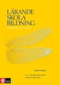 bokomslag Lärande, skola, bildning : grundbok för lärare