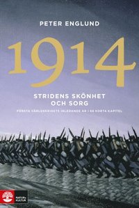 bokomslag Stridens skönhet och sorg 1914 : första världskrigets inledande år i 68 korta kapitel