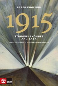 bokomslag 1915 : Stridens skönhet och sorg : första världskrigets andra år i 108 korta kapitel