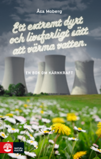 bokomslag Ett extremt dyrt och livsfarligt sätt att värma vatten : en bok om kärnkraft