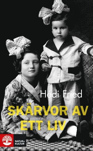 bokomslag Skärvor av ett liv : vägen till och från Auschwitz
