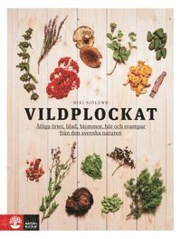 bokomslag Vildplockat : ätliga örter, blad, blommor, bär och svampar från den svenska naturen