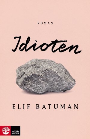 Elif Batuman - Idioten, Inbunden