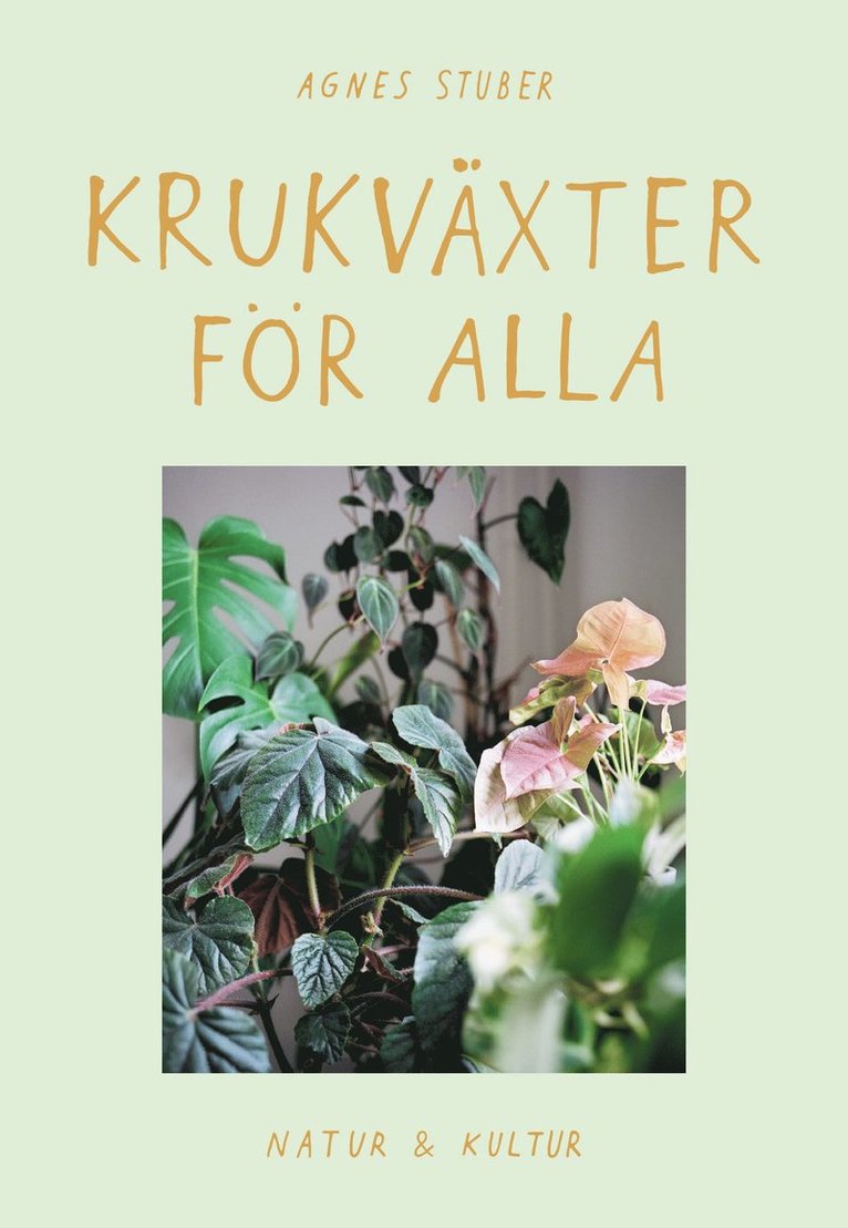 Agnes Stuber - Krukväxter för alla, Inbunden