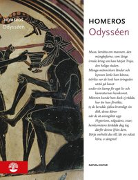 bokomslag Odysséen