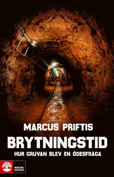 bokomslag Brytningstid : hur gruvan blev en ödesfråga
