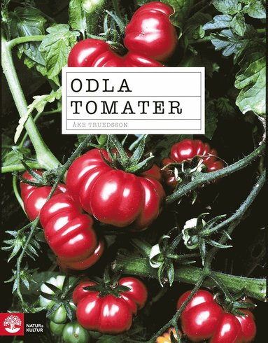 bokomslag Odla tomater