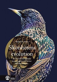 bokomslag Skönhetens evolution : hur Darwins bortglömda teori om det sexuella urvalet formar djurriket - och oss