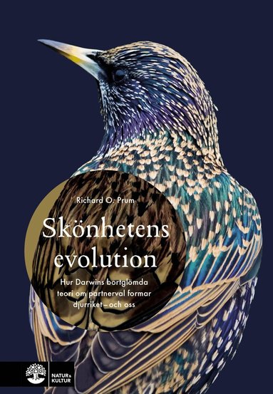 Richard O. Prum - Skönhetens evolution : hur Darwins bortglömda teori om det sexuella urvalet formar djurriket - och oss, Inbunden