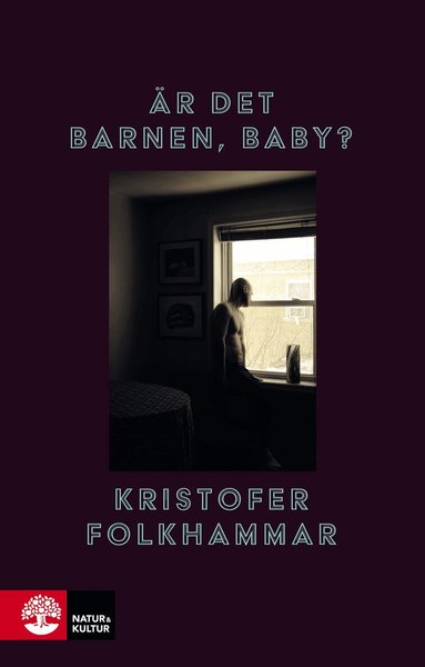 Kristofer Folkhammar - Är det barnen, baby?, Inbunden