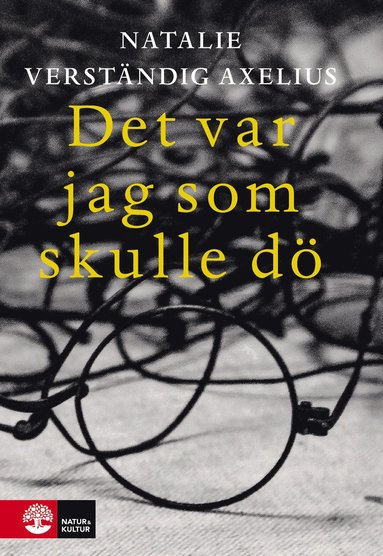 bokomslag Det var jag som skulle dö