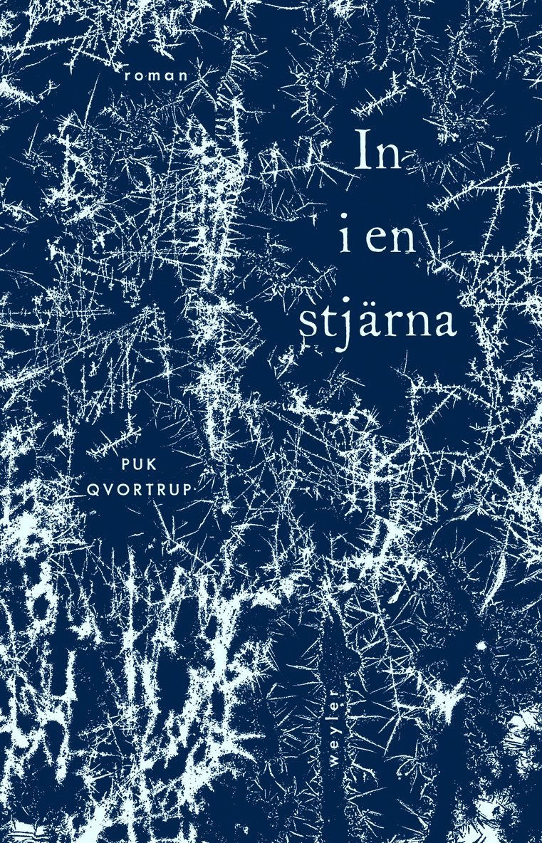 Puk Qvortrup - In i en stjärna, Inbunden