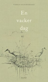 bokomslag En vacker dag