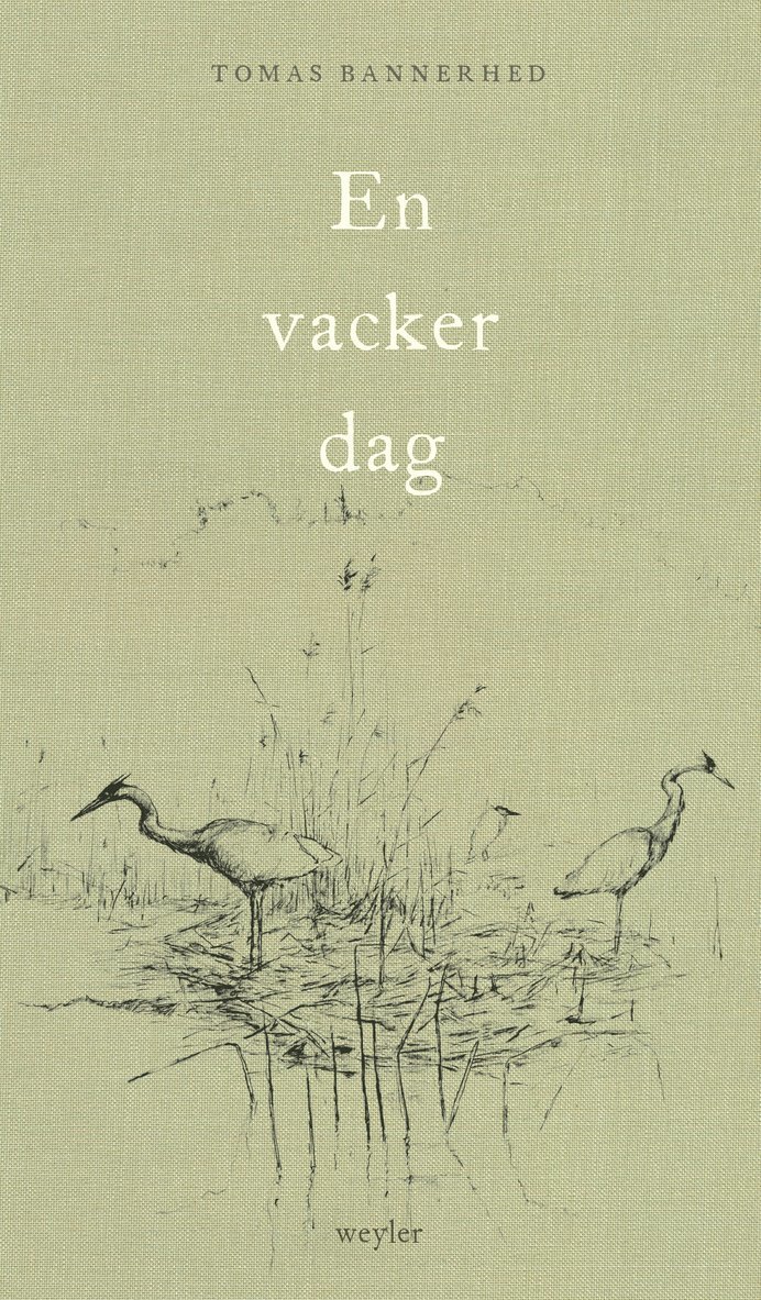 En vacker dag 1