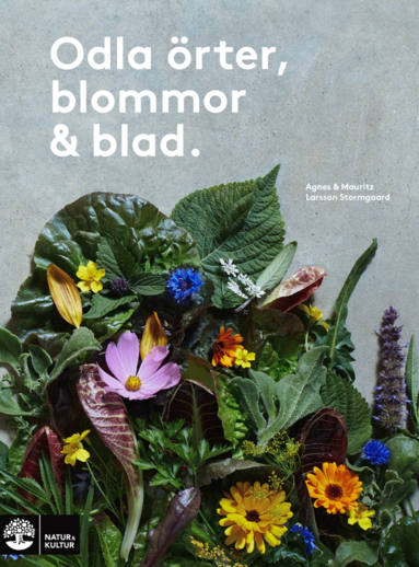 bokomslag Odla örter, blommor & blad