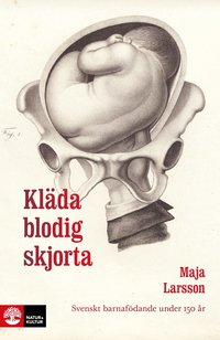 bokomslag Kläda blodig skjorta : svenskt barnafödande under 150 år