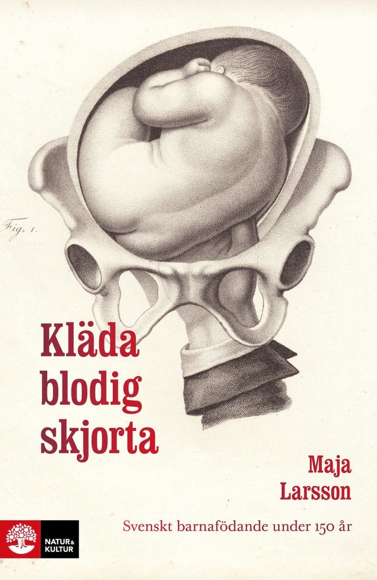 Kläda blodig skjorta : svenskt barnafödande under 150 år 1